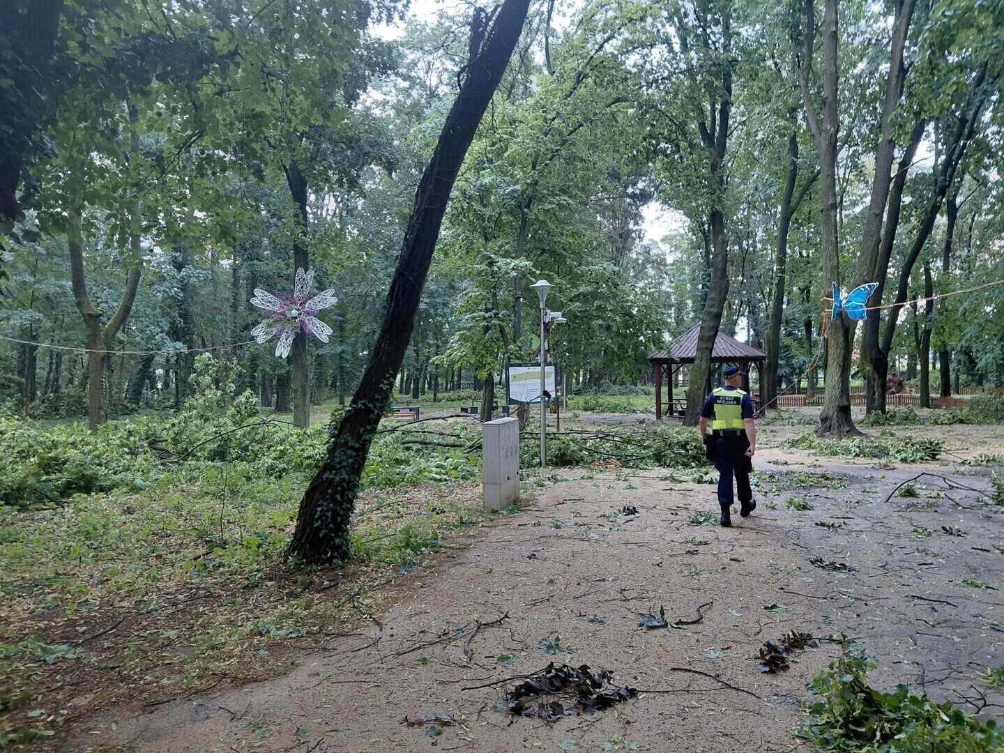 Gwałtowna burza nad GminąWschowa. Uszkodzone dachy połamane drzewa blisko 80 zgłoszeń ZDJĘCIA