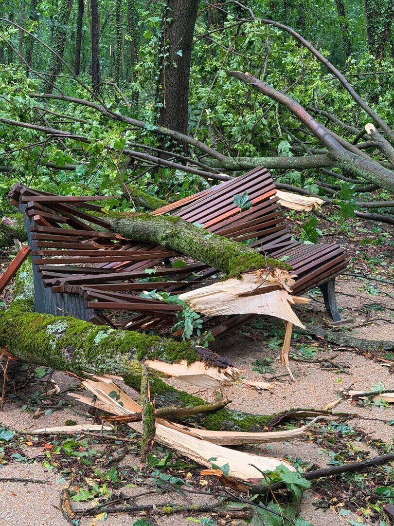 Park Wolsztyński zamknięty do odwołania po nawałnicy. Wstęp zabroniony