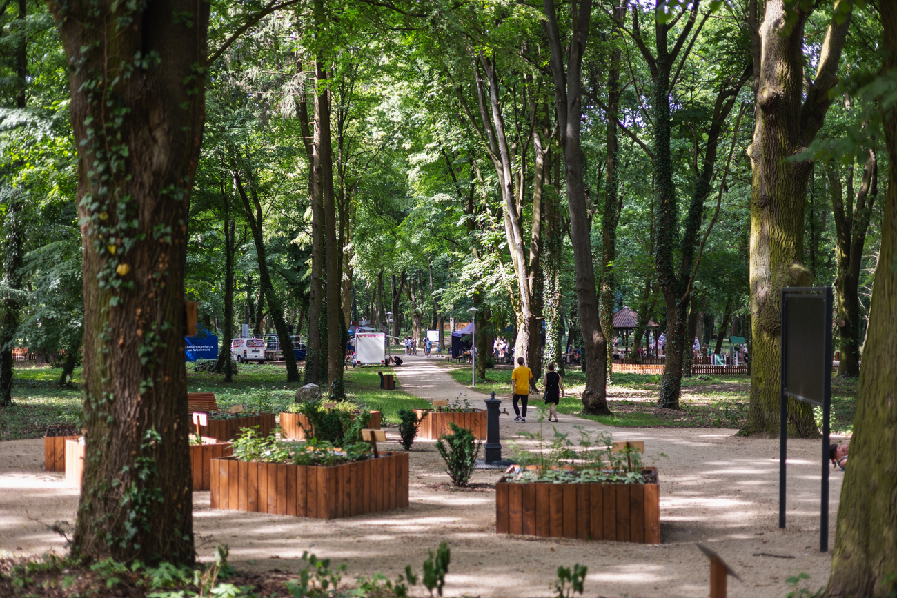 Park Wolsztyński we Wschowie