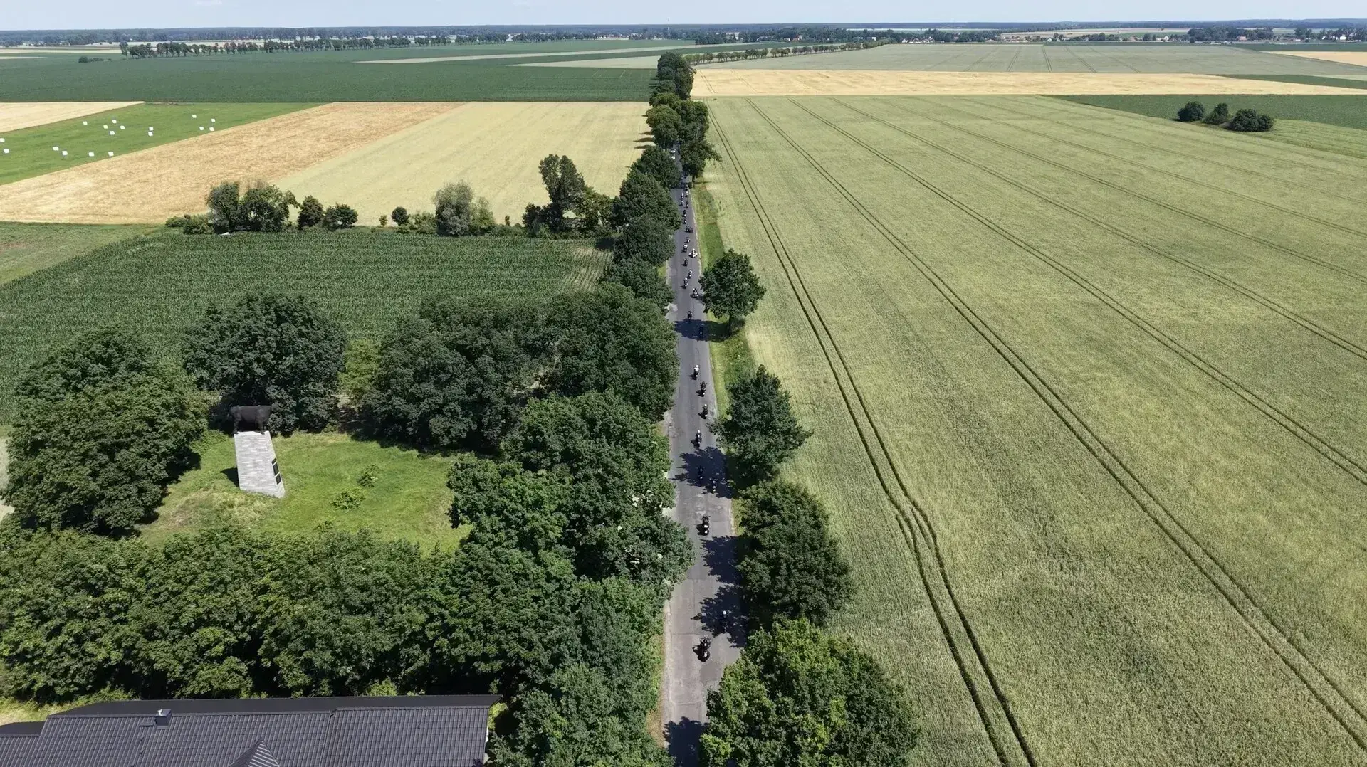 Droga Wschowa-Osowa Sień