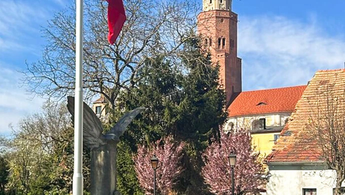 Zniknęły tuje, pojawiły się nowe nasadzenia. Tak zmieniło się otoczenie pomnika przy ul. Łaziennej [ZDJĘCIA]