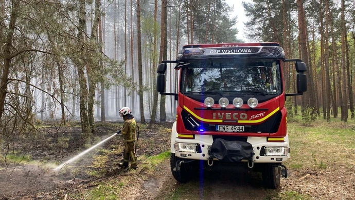 Pożar lasu pod Tylewicami. Spłonęły cztery hektary runa, gasił też samolot