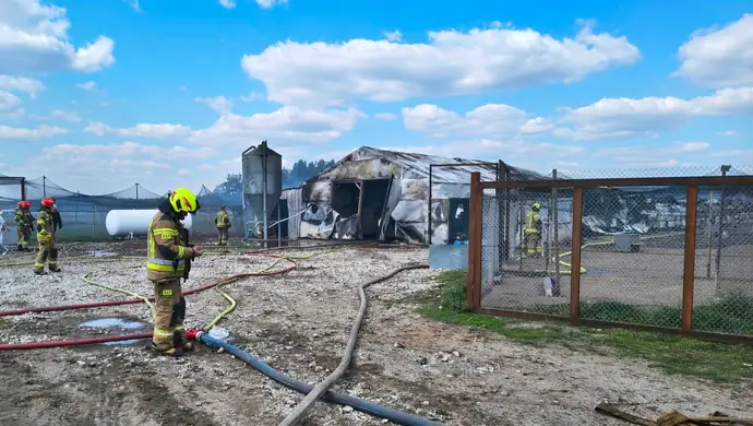 Pożar budynku gospodarczego w Lipinkach. Na miejscu liczne zastępy straży
