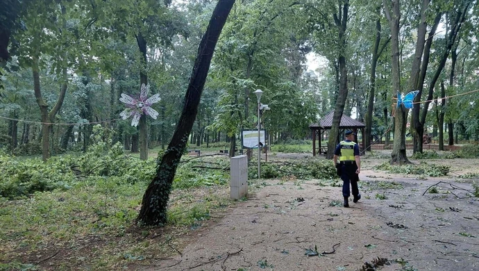 Gwałtowna burza nad Gminą Wschowa. Uszkodzone dachy, połamane drzewa, blisko 80 zgłoszeń [ZDJĘCIA]