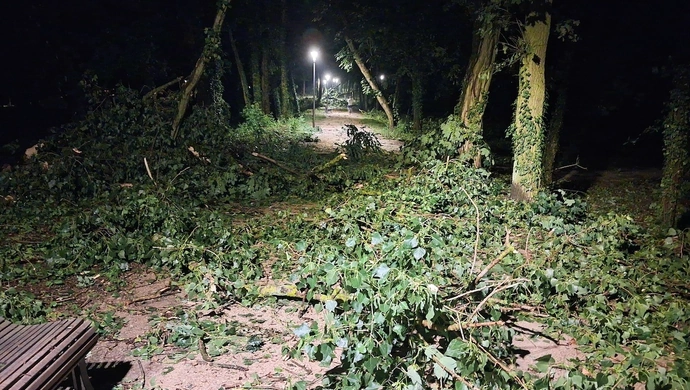 Gwałtowna burza nad Gminą Wschowa. Uszkodzone dachy, połamane drzewa, blisko 80 zgłoszeń [ZDJĘCIA]