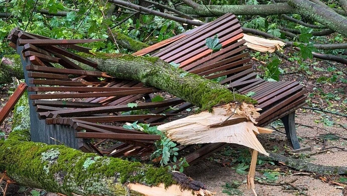 Park Wolsztyński zamknięty do odwołania po nawałnicy. Wstęp zabroniony