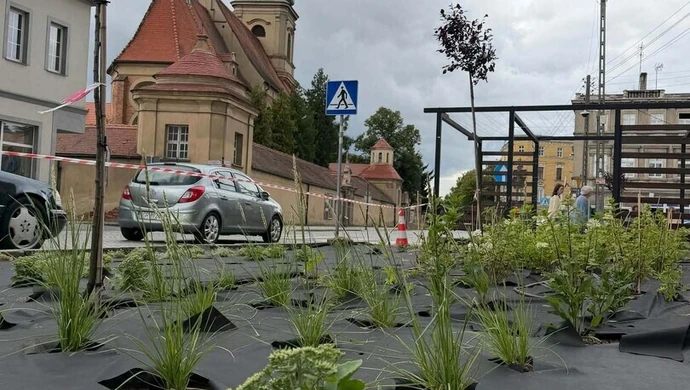Zieleń na „wyspach” przy Niepodległości. Wschowa kończy nasadzenia