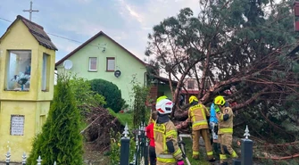 Gwałtowna burza nad Gminą Wschowa. Uszkodzone dachy, połamane drzewa, blisko 80 zgłoszeń [ZDJĘCIA]