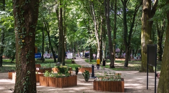 Park Wolsztyński znów otwarty, ale warunkowo. Wycinka ruszy w poniedziałek