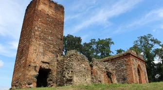 Ratunek dla ruin w Wyszanowie. Nowy dach nad kaplicą-mauzoleum do listopada