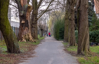 Prawie 6 mln zł na Park nad Stawami. Burmistrz Antkowiak Zmieniamy Wschowę na lepsze