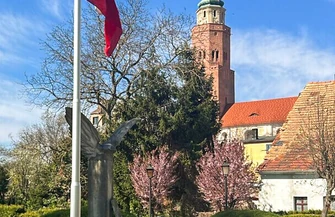 Zniknęły tuje pojawiły się nowe nasadzenia. Tak zmieniło się otoczenie pomnika przy ul. Łaziennej ZDJĘCIA