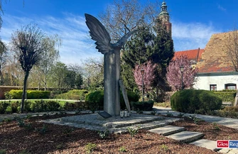 Zniknęły tuje pojawiły się nowe nasadzenia. Tak zmieniło się otoczenie pomnika przy ul. Łaziennej ZDJĘCIA