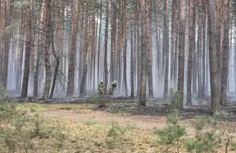Pożar lasu pod Tylewicami. Spłonęły cztery hektary runa gasił też samolot