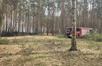 Pożar lasu pod Tylewicami. Spłonęły cztery hektary runa gasił też samolot