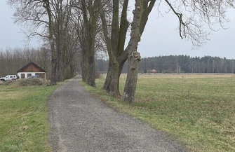 Nowe oświetlenie w Górczynie i Szlichtyngowej. Umowa podpisana