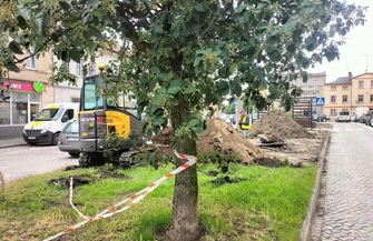 Gmina Wschowa zmienia krajobraz ul. Niepodległości