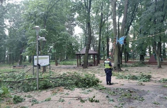 Gwałtowna burza nad GminąWschowa. Uszkodzone dachy połamane drzewa blisko 80 zgłoszeń ZDJĘCIA