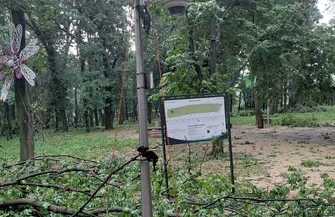 Gwałtowna burza nad GminąWschowa. Uszkodzone dachy połamane drzewa blisko 80 zgłoszeń ZDJĘCIA