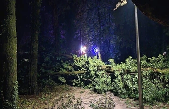 Gwałtowna burza nad GminąWschowa. Uszkodzone dachy połamane drzewa blisko 80 zgłoszeń ZDJĘCIA