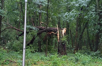 Park Wolsztyński zamknięty do odwołania po nawałnicy. Wstęp zabroniony