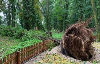 Park Wolsztyński zamknięty do odwołania po nawałnicy. Wstęp zabroniony