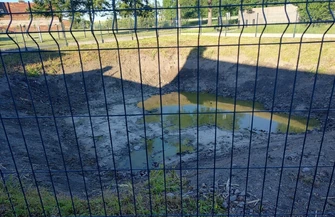 Staw w gminie Szlichtyngowa
