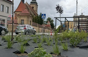 Wyspy przy ul. Niepodległości we Wschowie