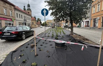Wyspy przy ul. Niepodległości we Wschowie